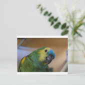 Neuartiger Papagei Postkarte (Stehend Vorderseite)