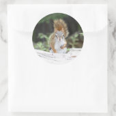 Neuartiger Rot-Eichhörnchen-Rundaufkleber Runder Aufkleber (Tasche)