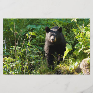 Neuartiger Schwarzbär Briefpapier