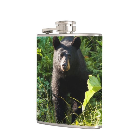 Neuartiger Schwarzbär Flachmann (Links)