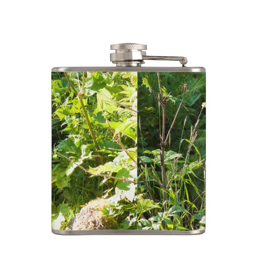 Neuartiger Schwarzbär Flachmann (Rückseite)