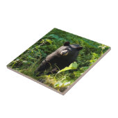 Neuartiger Schwarzbär Fliese (Seite)