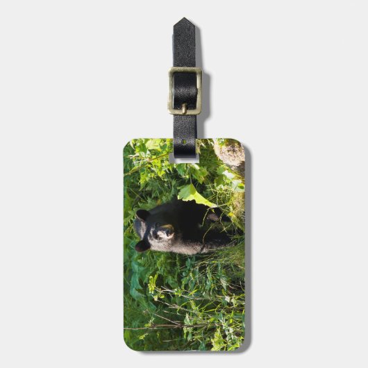 Neuartiger Schwarzbär Gepäckanhänger (Vorderseite vertikal)