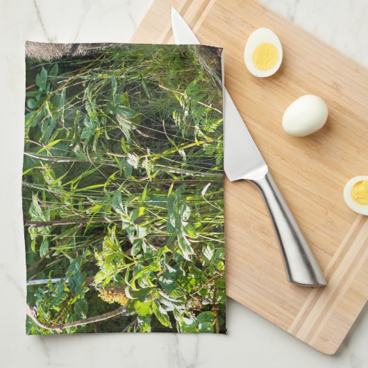 Neuartiger Schwarzbär Geschirrtuch (Viertel Falte)