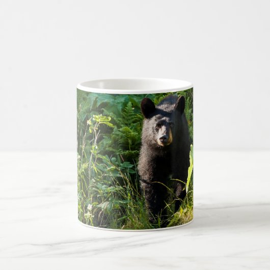 Neuartiger Schwarzbär Kaffeetasse (Mittel)