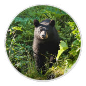 Neuartiger Schwarzbär Keramikknauf (Vorderseite)