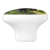 Neuartiger Schwarzbär Keramikknauf (Seitenansicht)