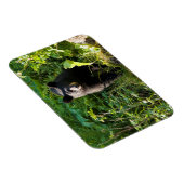 Neuartiger Schwarzbär Magnet (Rechte Seite)