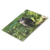 Neuartiger Schwarzbär Notizblock (angewinkelt)