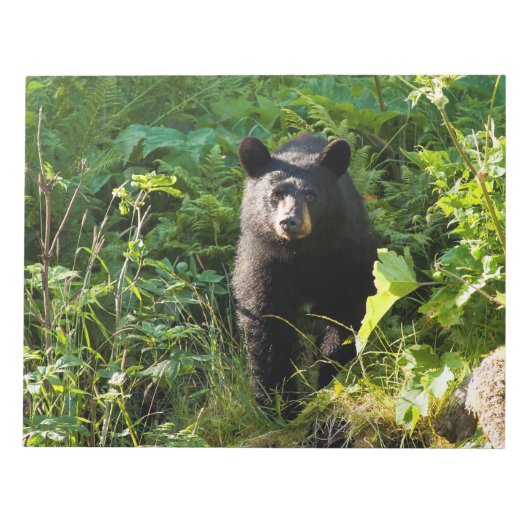 Neuartiger Schwarzbär Notizblock (Vorderseite)