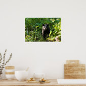 Neuartiger Schwarzbär Poster (Küche)