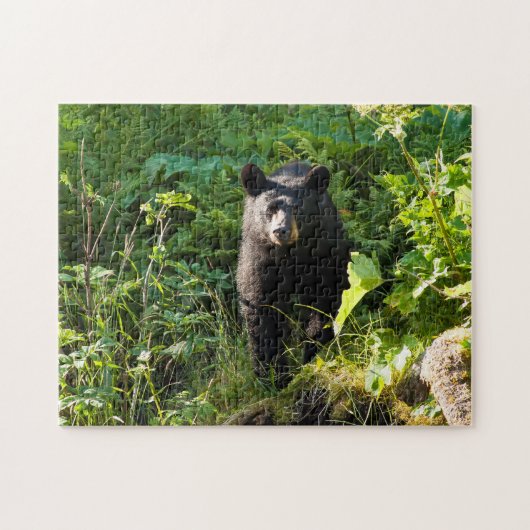 Neuartiger Schwarzbär Puzzle (Horizontal)