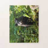 Neuartiger Schwarzbär Puzzle (Vertikal)