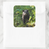 Neuartiger Schwarzbär Quadratischer Aufkleber (Tasche)