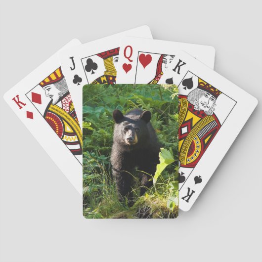 Neuartiger Schwarzbär Spielkarten (Rückseite)