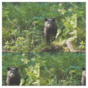 Neuartiger Schwarzbär Stoff