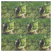 Neuartiger Schwarzbär Stoff (Muster)