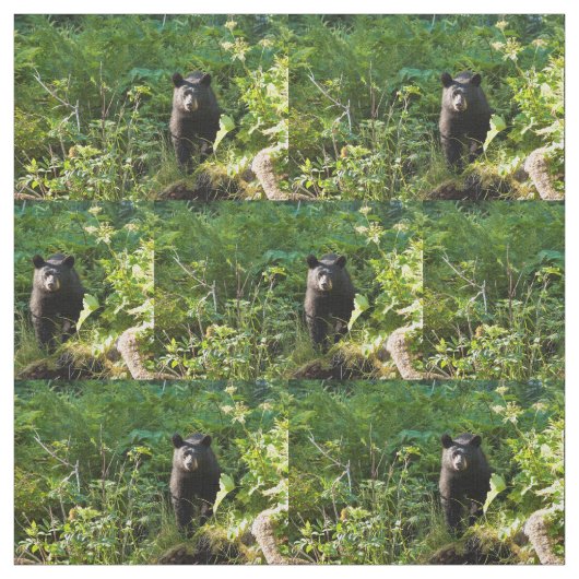 Neuartiger Schwarzbär Stoff (Muster)