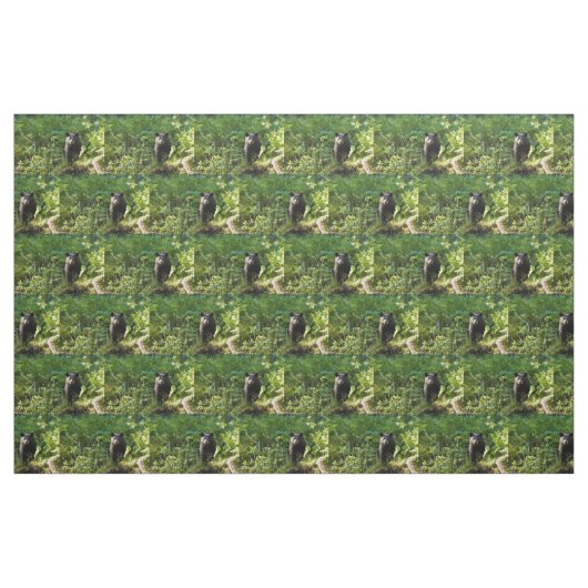 Neuartiger Schwarzbär Stoff (Fat Quarter (45,7 x 55,9 cm))