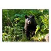 Neuartiger Schwarzbär Tischnummer (Vorderseite)