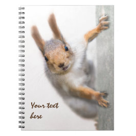 Neuartiges Eichhörnchen Notizblock