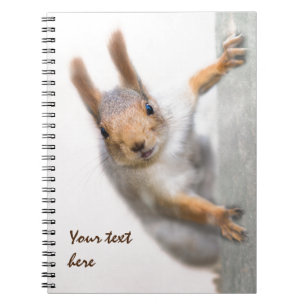 Neuartiges Eichhörnchen Notizblock
