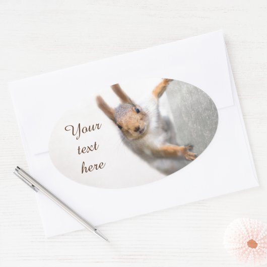 Neuartiges Eichhörnchen Ovaler Aufkleber (Umschlag)