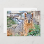 Neuartiges Eichhörnchen Postcard Postkarte (Vorne/Hinten)