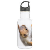 Neuartiges Eichhörnchen Trinkflasche (Vorderseite)