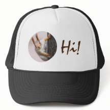 Neuartiges Eichhörnchen