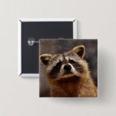 Neuartiges Raccoon-Foto Button (Vorne & Hinten)