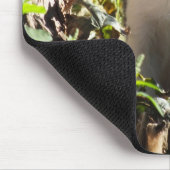 Neuartiges Tiger und weißes Kitten-Mauspad Mousepad (Ecke)