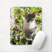 Neuartiges Tiger und weißes Kitten-Mauspad Mousepad (Mit Mouse)