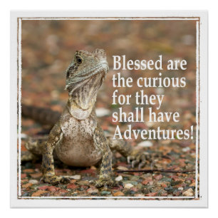 Neuartiges Zitat Poster