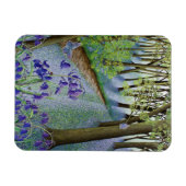 Neubeginn 2011 magnet (Horizontal)