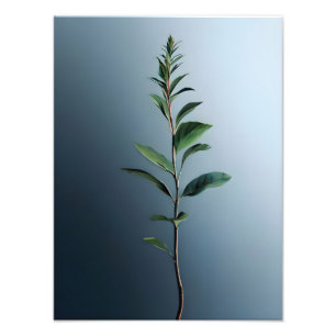 Neubeginn Fotodruck