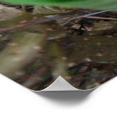 Neubeginn Poster (Ecke)