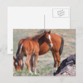 Neubeginn Postkarte (Vorne/Hinten)