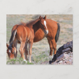 Neubeginn Postkarte