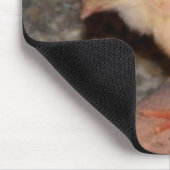 Neuborn Chick Mousepad (Ecke)