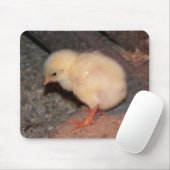 Neuborn Chick Mousepad (Mit Mouse)
