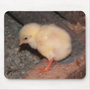 Neuborn Chick Mousepad