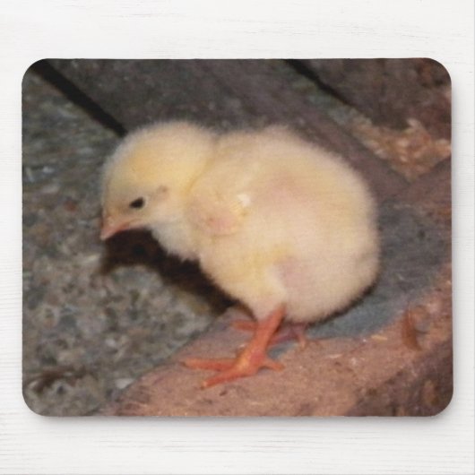 Neuborn Chick Mousepad (Vorne)