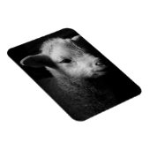 Neuborn Lamb Magnet (Rechte Seite)