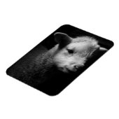 Neuborn Lamb Magnet (Linke Seite)
