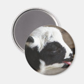 Neuborn Lamb Magnet (Vorderseite/Rückseite)