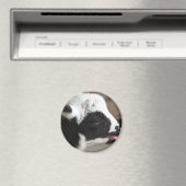 Neuborn Lamb Magnet (In Situ (Geschirrspüler))