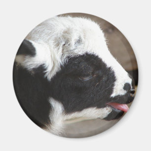 Neuborn Lamb Magnet
