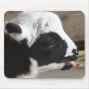 Neuborn Lamb Mousepad