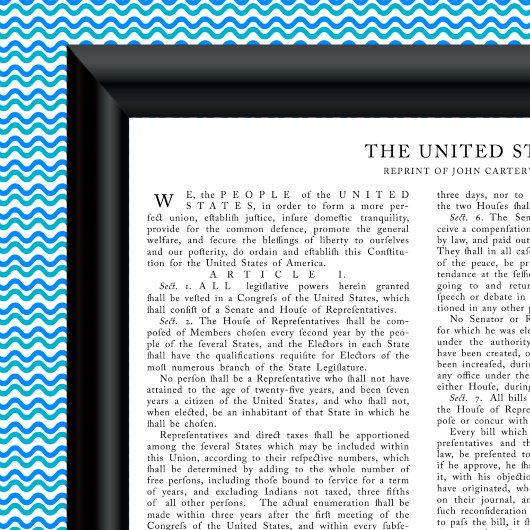 Neudruck von John Carter, US-Verfassung Poster